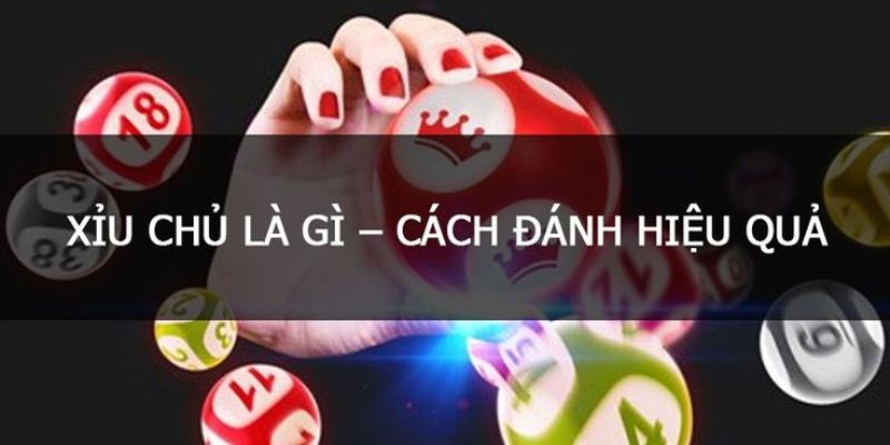 Xỉu Chủ Là Gì - Hướng Dẫn Cách Chơi Cực Dễ Dàng Tại FUN88